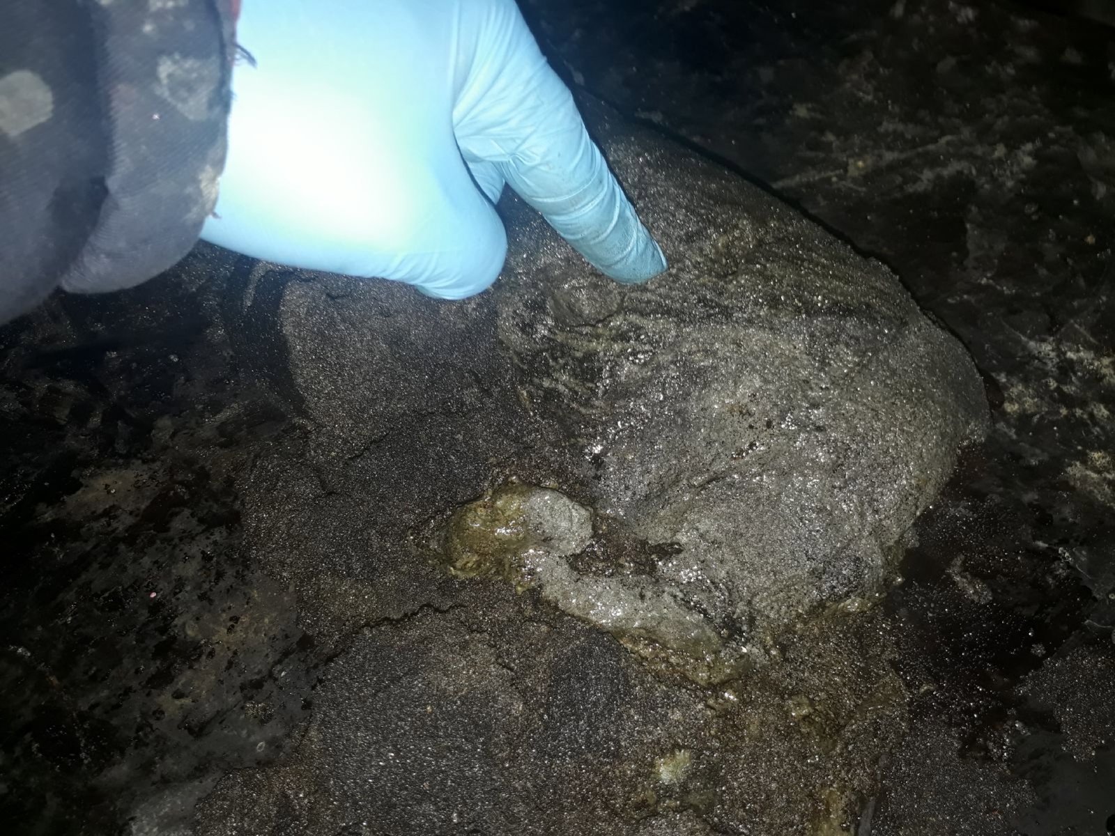 Close-up of a heavy oil sand core sample — the unconsolidated formation type SoftHold™ is specifically engineered to recover intact